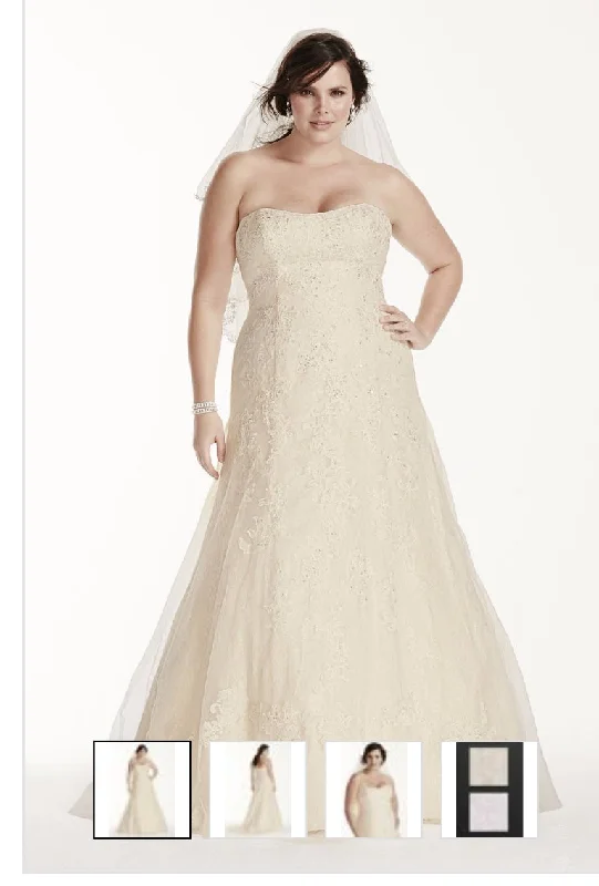Sneak Peek Sale David's Bridal Jewel Lace A-Line Beaded Plus Size