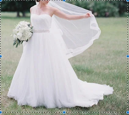 Super Bargain David's Bridal Strapless Ruched Bodice Tulle Ball Gown MK3576